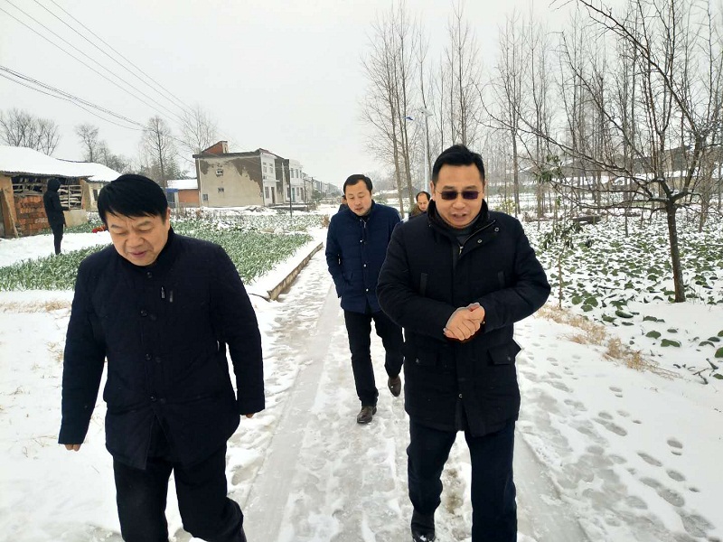 1515137592105483.jpg 914743102640891539.jpg